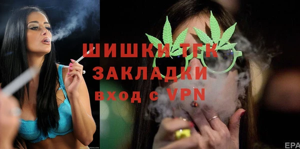 сатива Вяземский