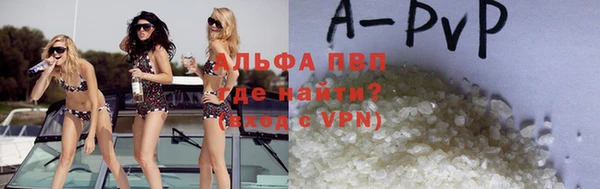 сатива Вяземский