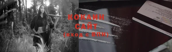 сатива Вяземский