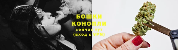 сатива Вяземский