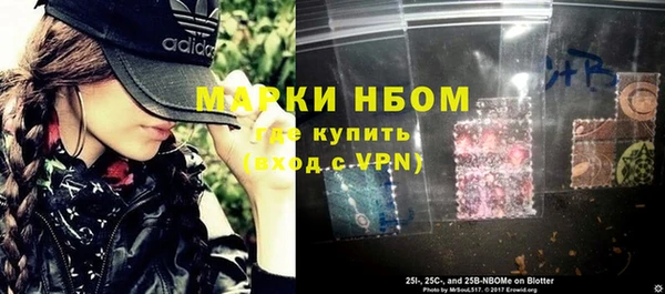 сатива Вяземский