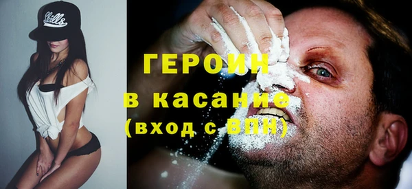 сатива Вяземский