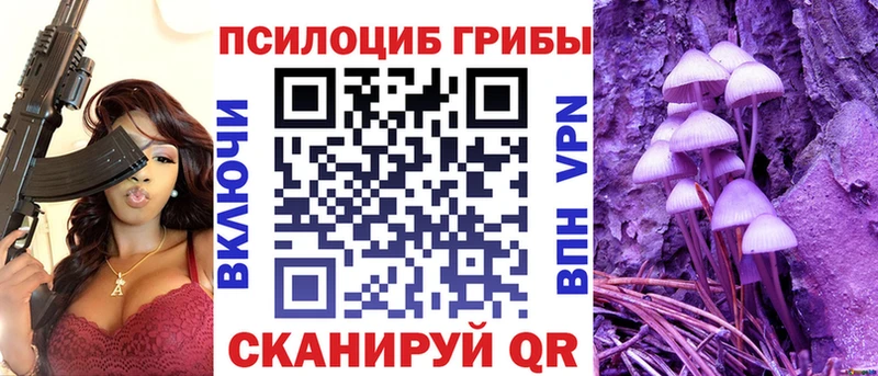 Псилоцибиновые грибы Psilocybe  Наро-Фоминск 